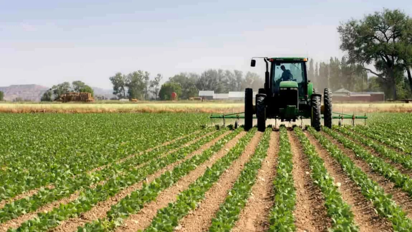 Types of agricultural inputs