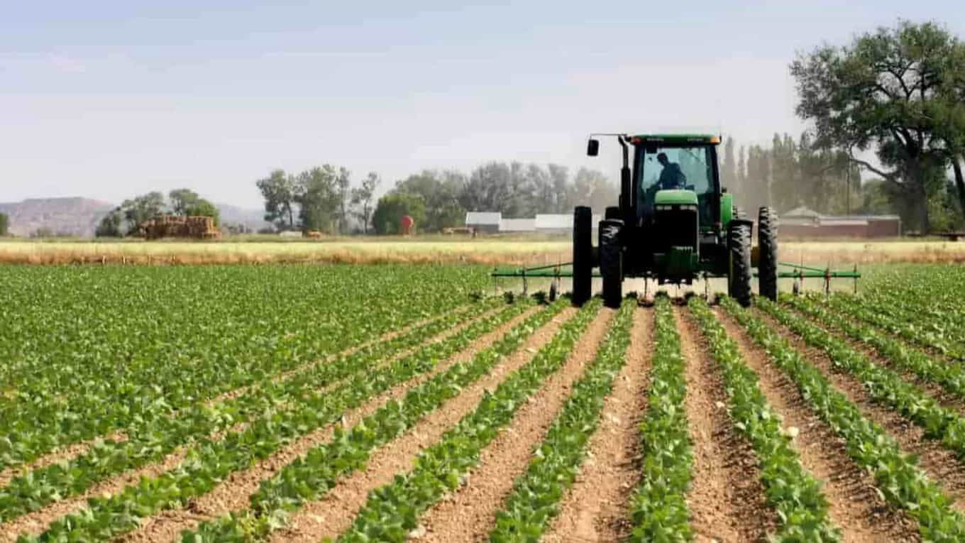 Types of agricultural inputs