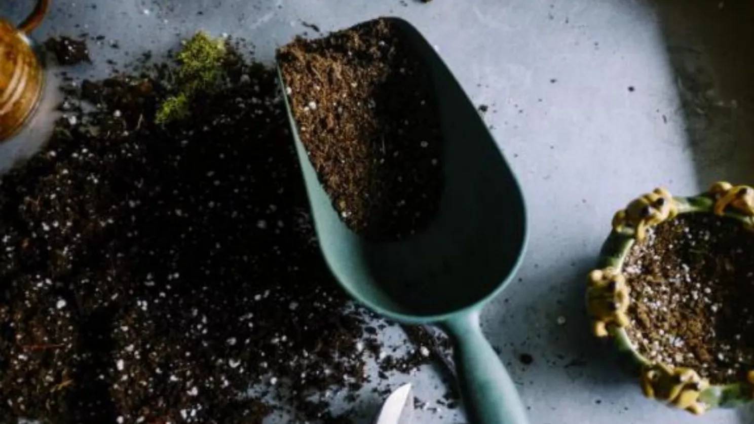 انواع کودهای کشاورزی