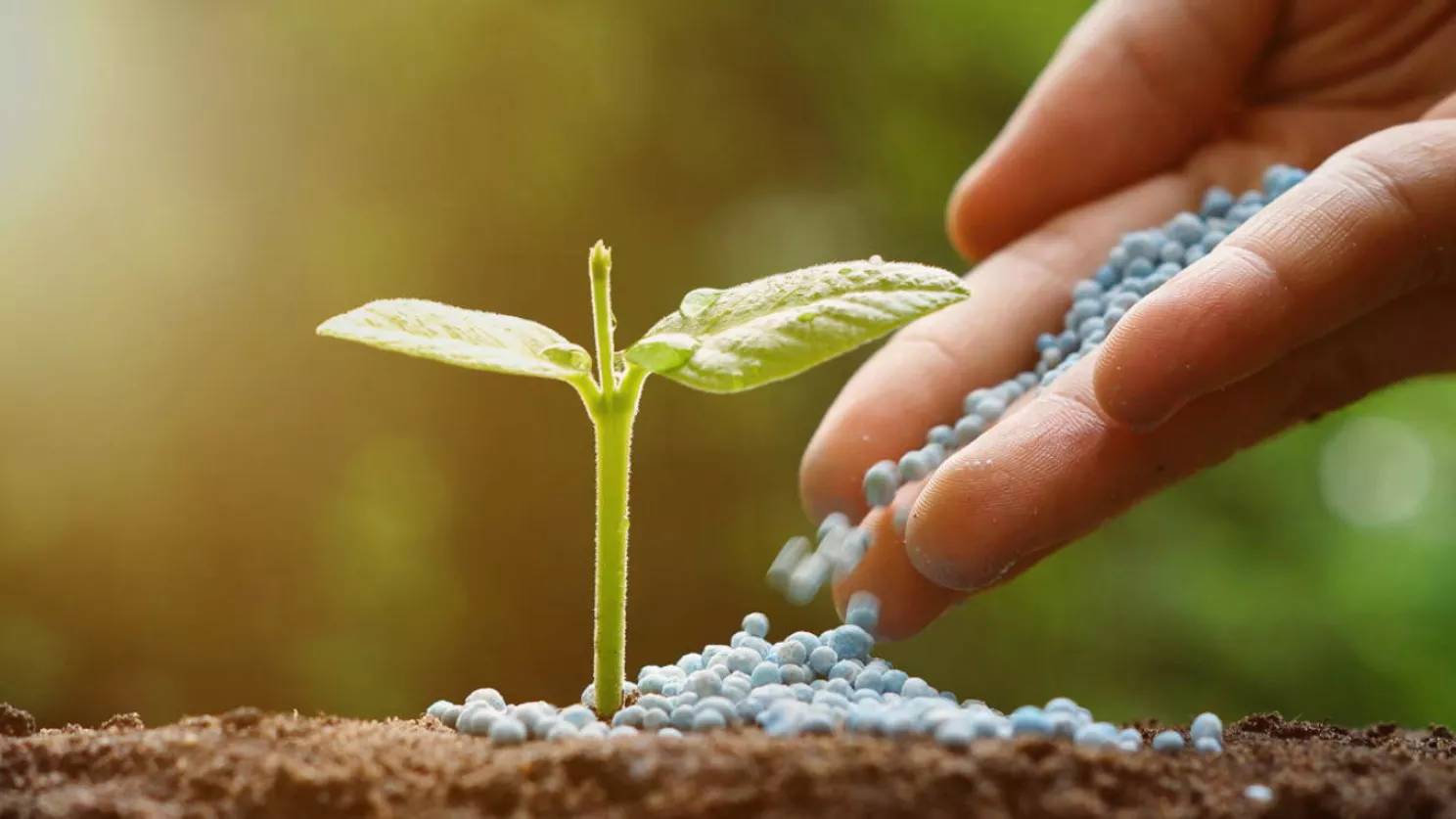 انواع کودهای کشاورزی