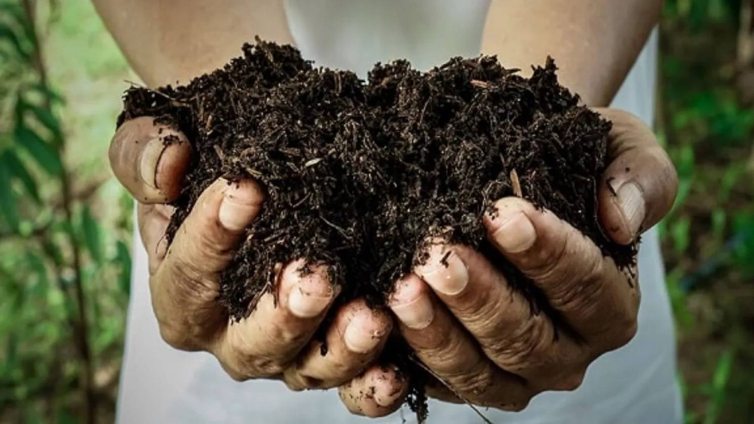 انواع کودهای کشاورزی