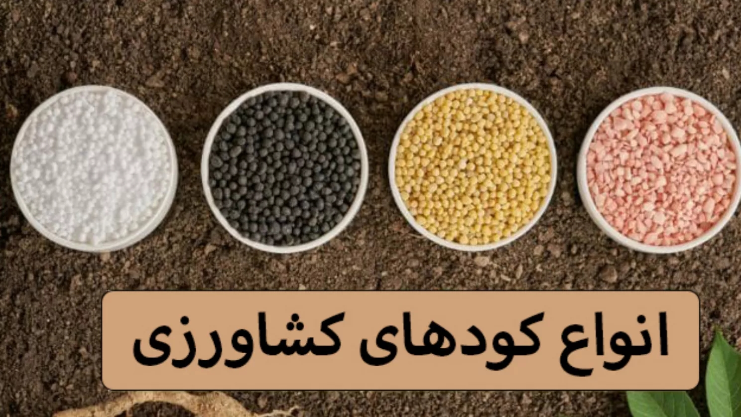 انواع کودهای کشاورزی انواع کودهای کشاورزی
