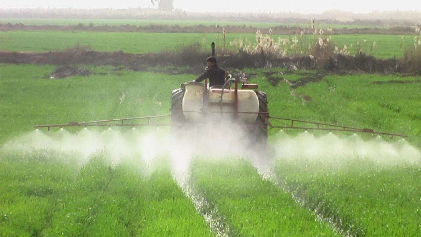 The impact of pests and poisons on the environment The impact of pests and poisons on the environment