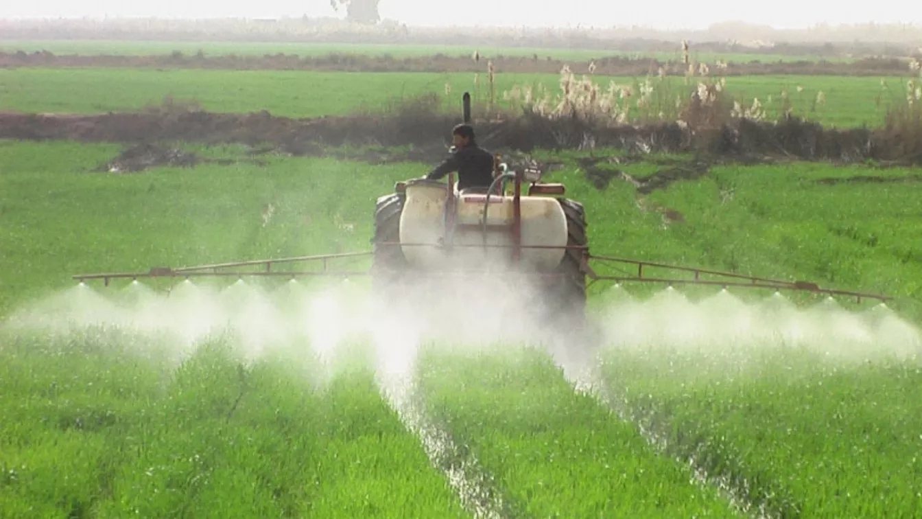 The impact of pests and poisons on the environment The impact of pests and poisons on the environment